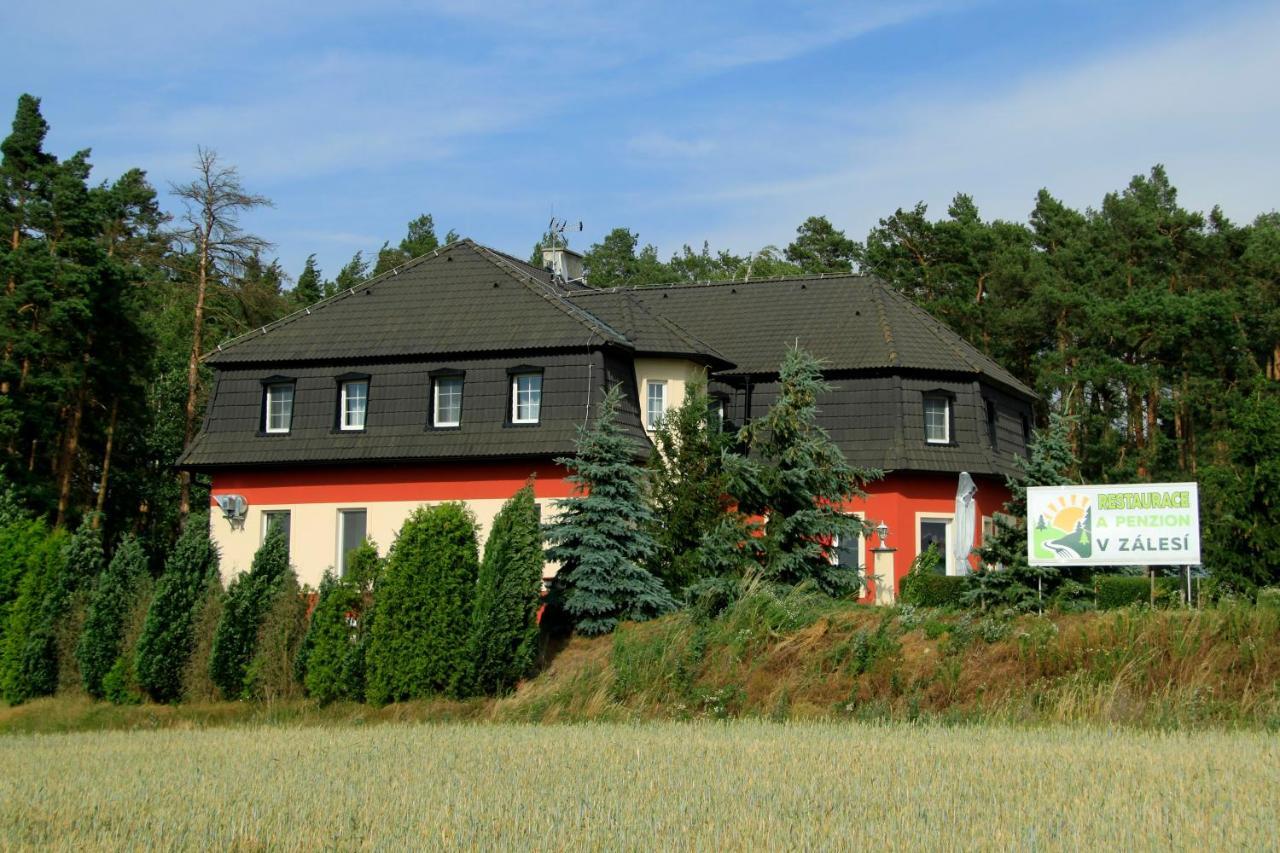 Penzion V Zalesi Hotel Mlada Boleslav Exterior photo